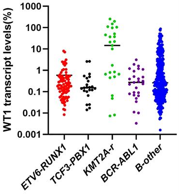 Prognostic significance of Wilms’ tumor gene 1 expression in children with B-cell precursor acute lymphoblastic leukemia